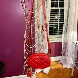 ALDO Red Purse/Fanny